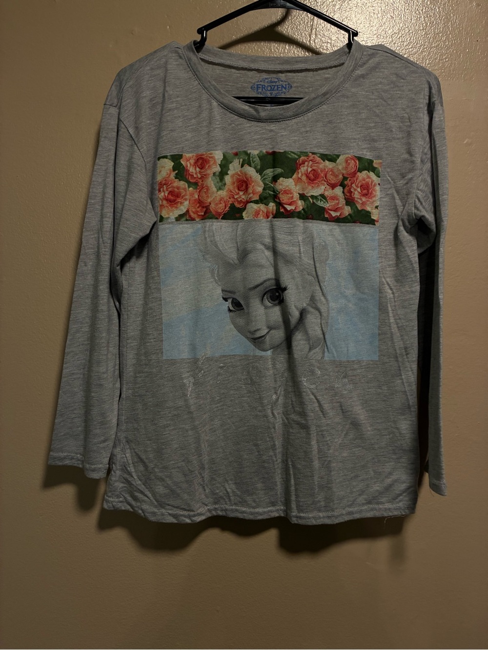 Disney Gray Long Sleeve Elsa Floral Graphic Tee